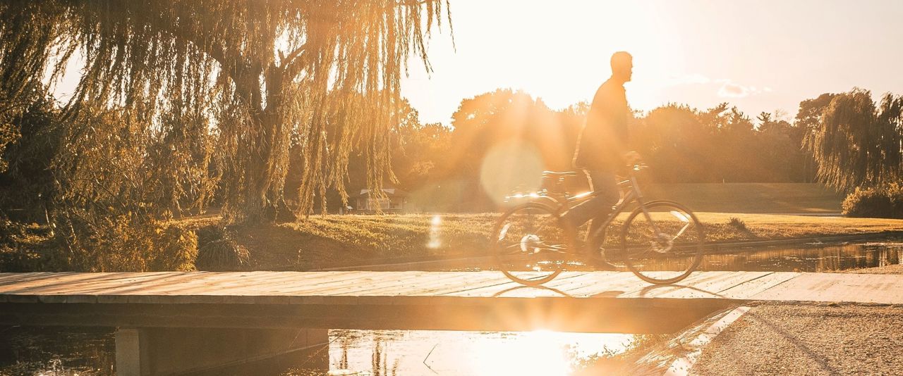 Cykla i solen bland träd