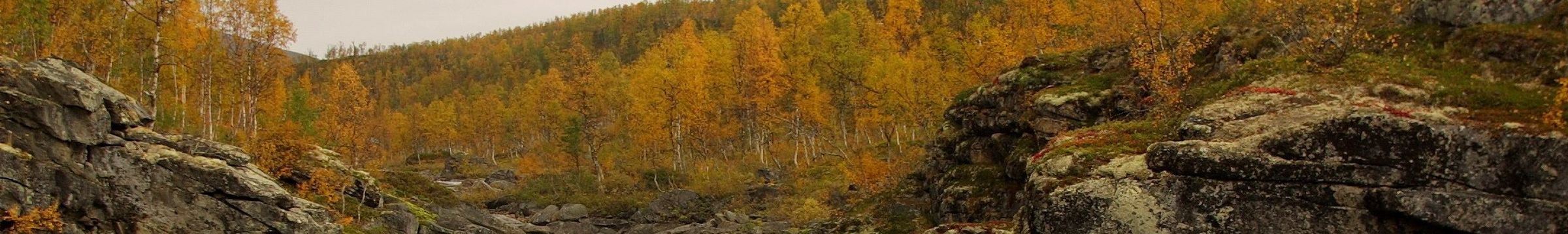 Vattendrag i höstlandskap